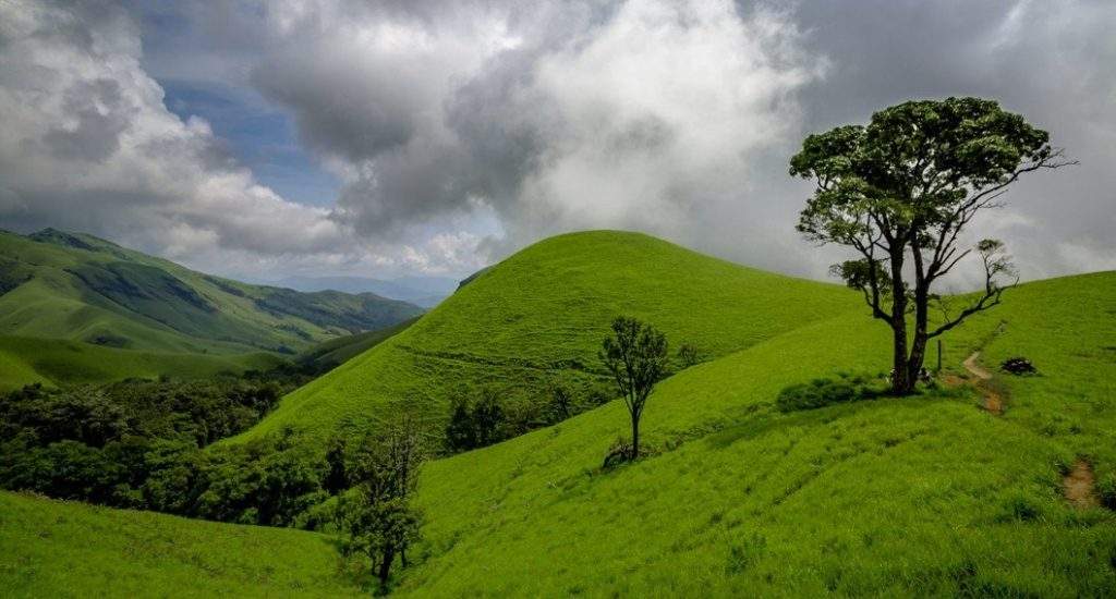 Kodachadri Trek