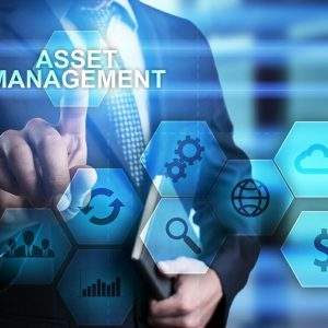 Real Estate Asset Manager