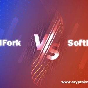 soft fork vs hard fork