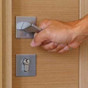 Fire Doors From Normal Doors