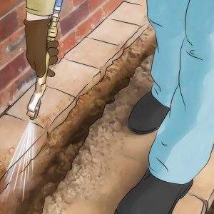 termites exterminator near me