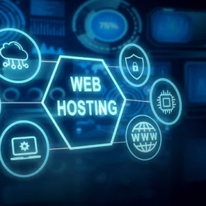 Web Hosting Company