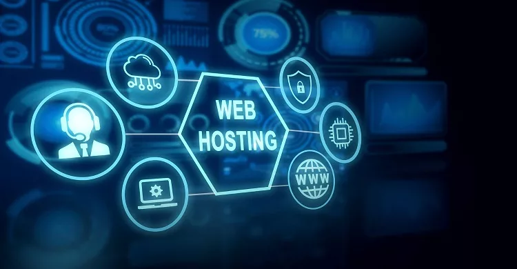 Web Hosting Company