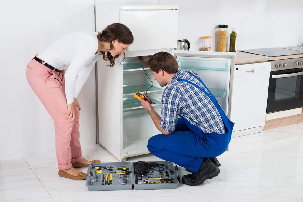 What You Should Go for, Refrigeration Repair or Replacement?