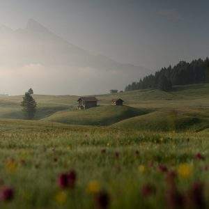 Scope of Land Investment