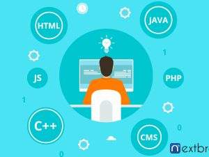 MPV Software Development Company