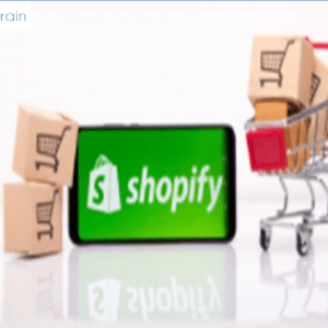 Shopify Website Development