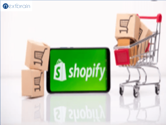 Shopify Website Development