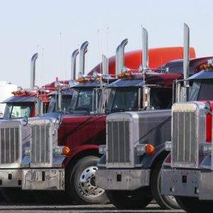 Transportation Business