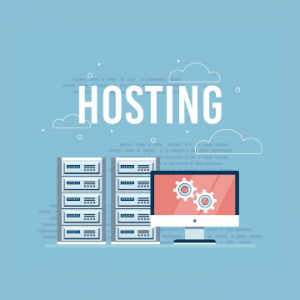Web Hosting Provider