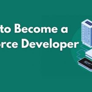 Salesforce Developer