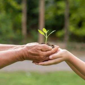 Kids More Environmentally