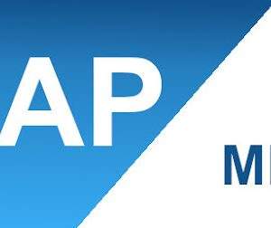 SAP MM Training in Delhi