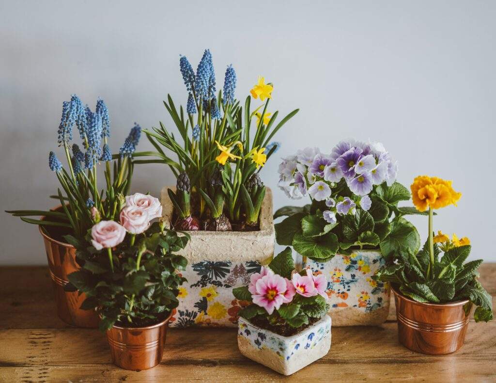 Trending Flower Pots: What’s Hot in the World of Container Gardening? Trending Flower Pots: What’s Hot in the World of Container Gardening?