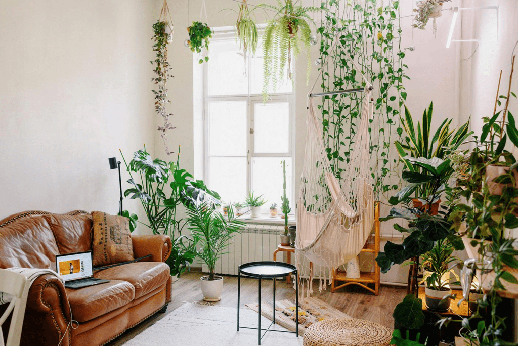 Top 10 Tall Indoor Plants to Liven Up Your Space