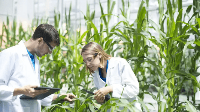 How Biotechnology is Transforming the Agriculture Sector?