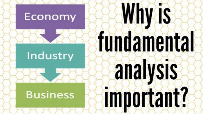 The Importance of Fundamental Analysis in Forex Trading